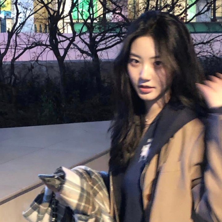 我们的法兰西岁月