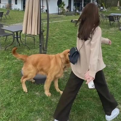 我们或许会后悔